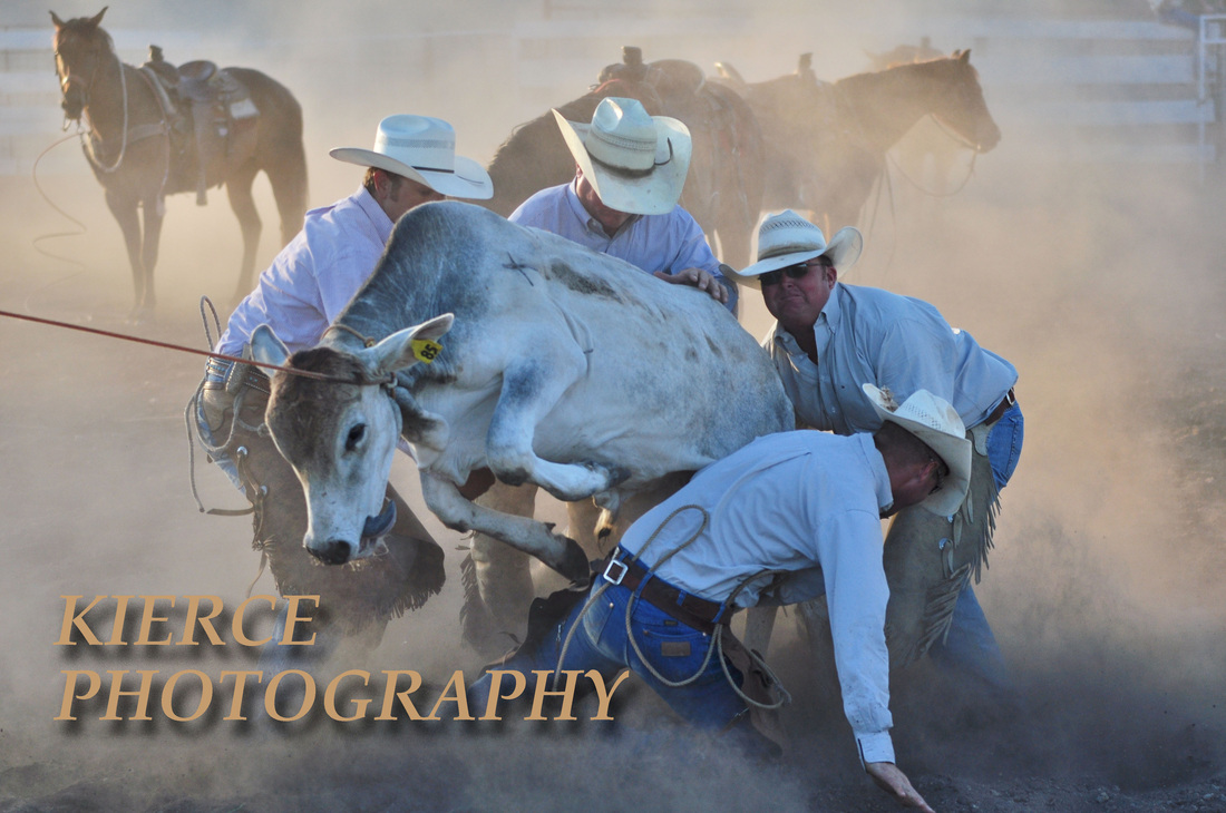 Bull riding mercedes texas 2014 #3